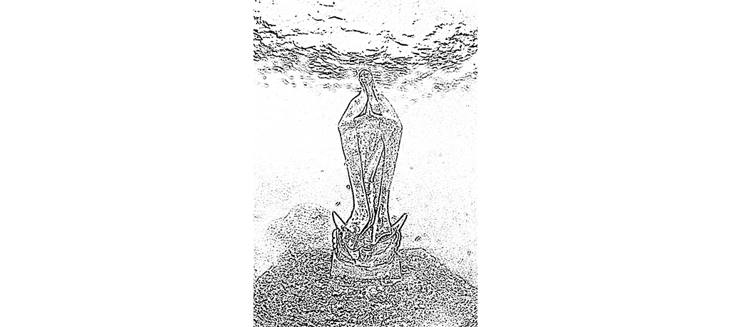 nlh_header.jpg