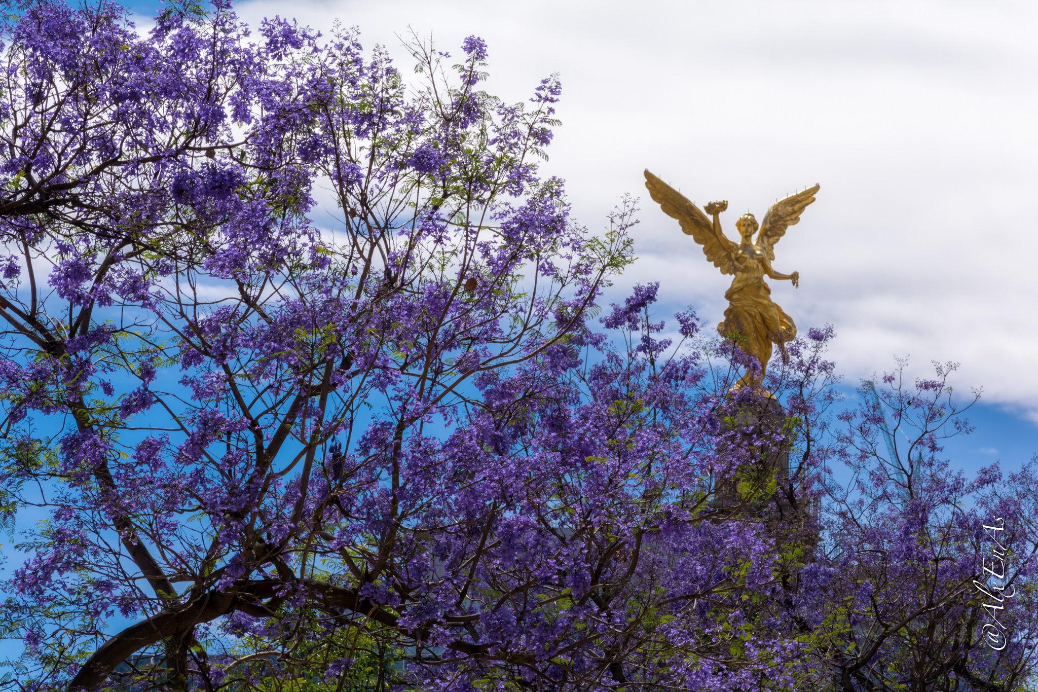 Lugares increíbles para recibir la primavera en México