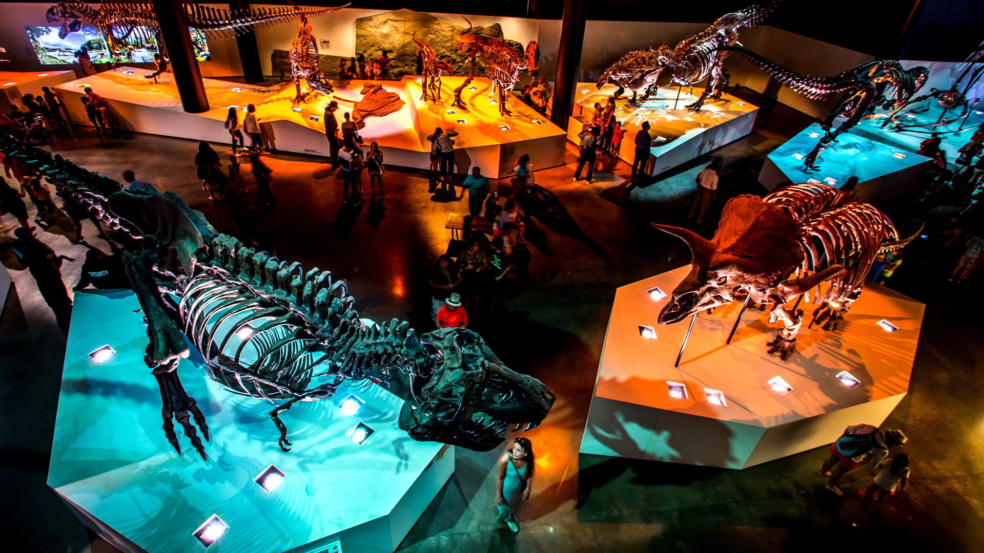 atracciones para tu primera vez en Houston Museum of Natural Science Paleo
