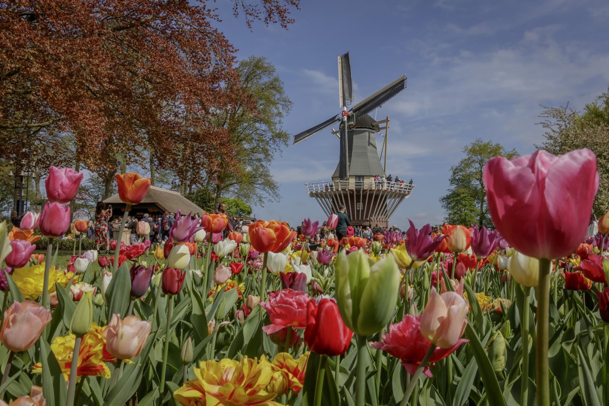 Los jardines más bellos del mundo Paises Bajos