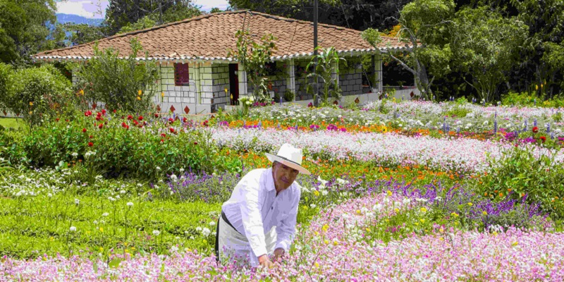 qué ver en Medellín