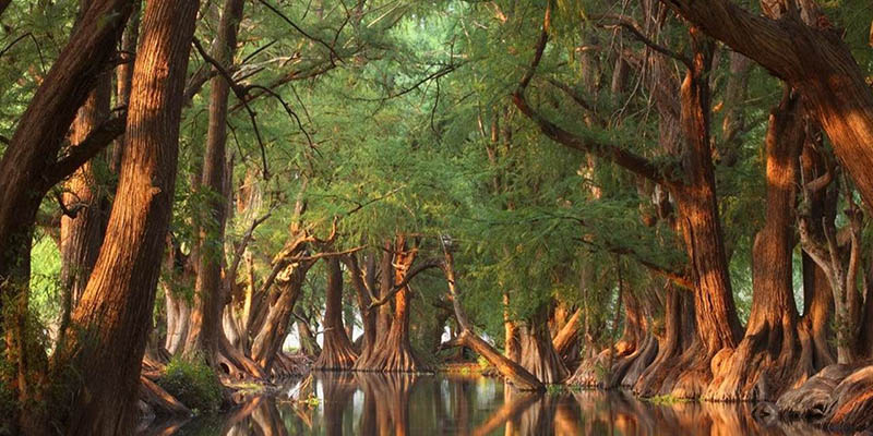 El misterio envuelve el Parque Nacional Lago de Camécuaro