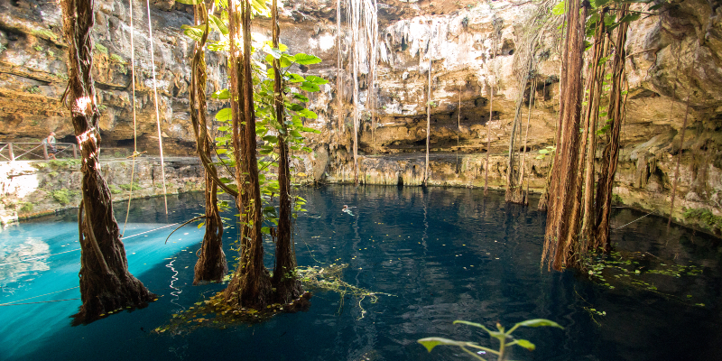 Cenotes de Valladolid