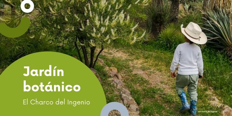 ¿Qué hacer con niños en San Miguel de Allende?