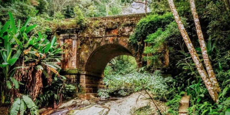 Tour Parque Nacional de Tijucaen Río de Janeiro Brasil