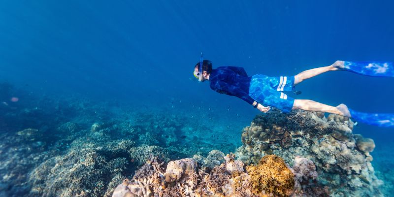 buceo en republica dominicana