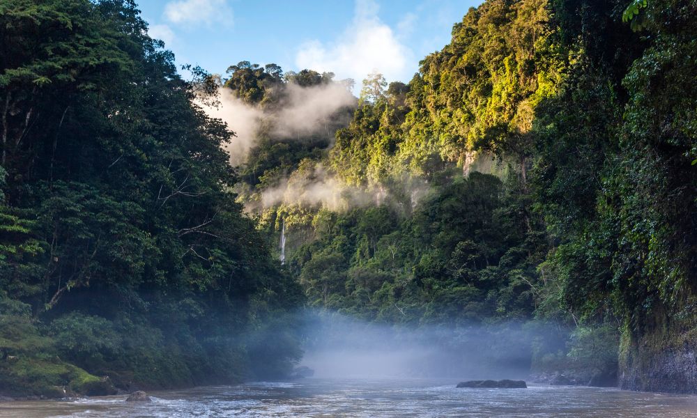 amazonia peruana loreto