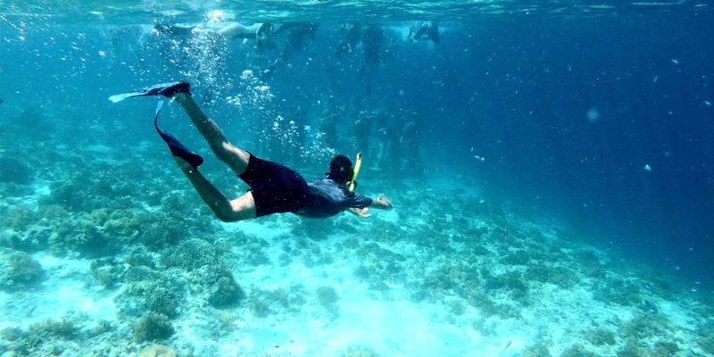 snorkel en las playas de honduras