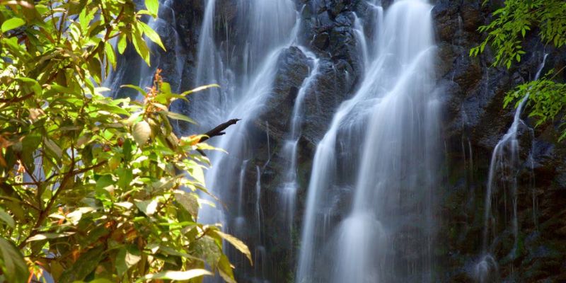 cascada velo de novia