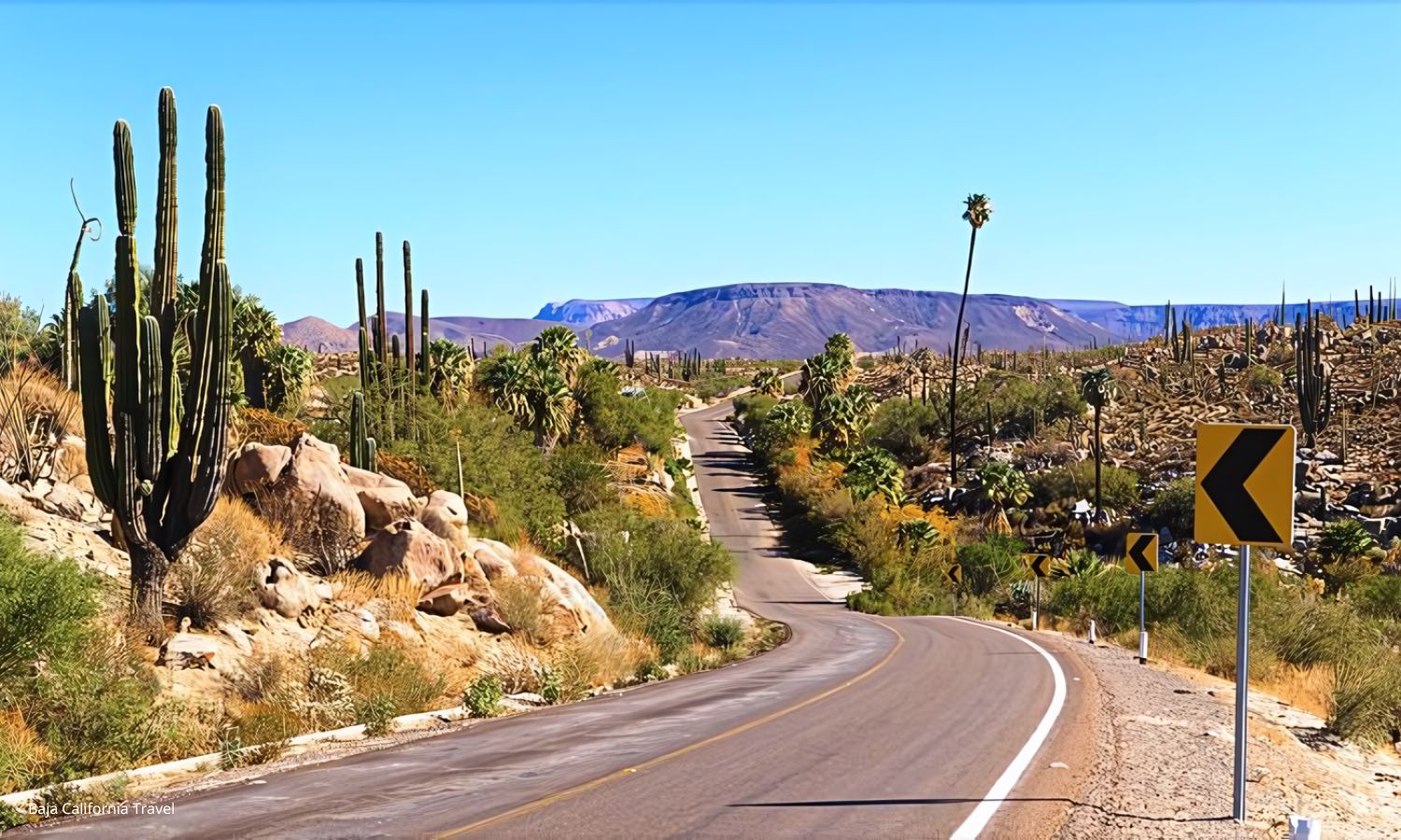 desierto baja california