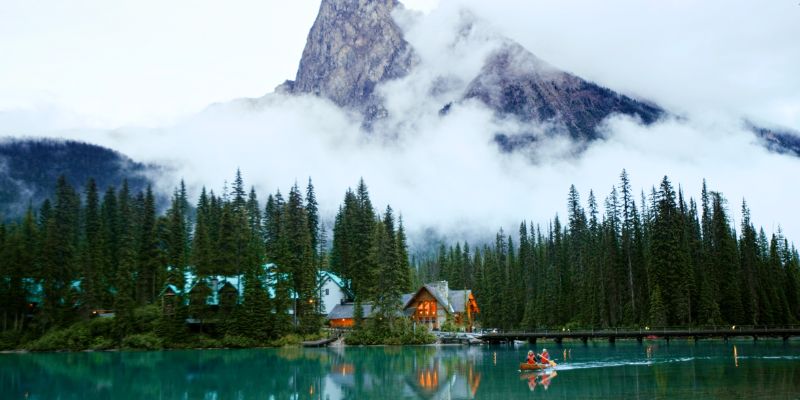 yoho national park rainforest to rockies