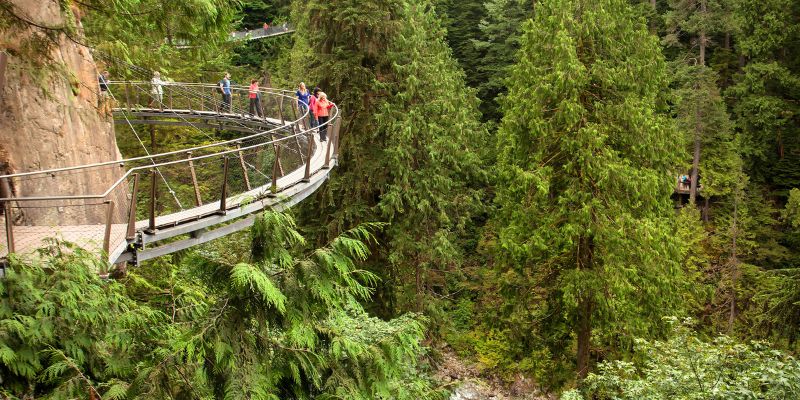 vancouver rainforest to rockies