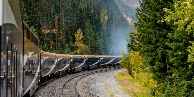 tren rainforest to rockies