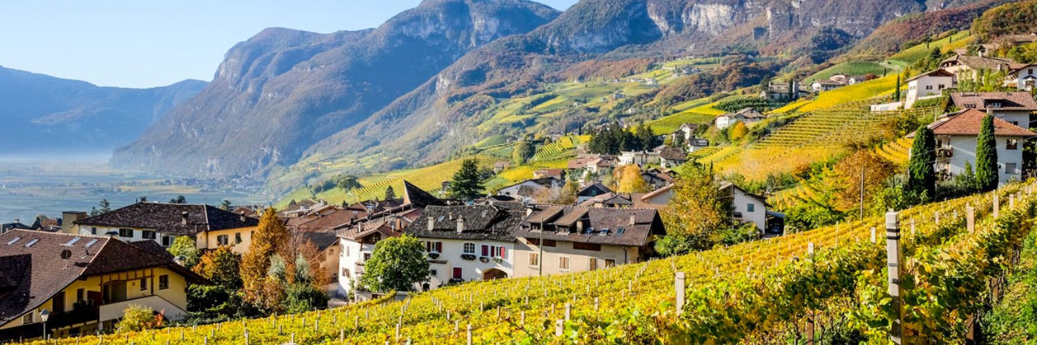 ruta de los vinos en trentino alto adagio