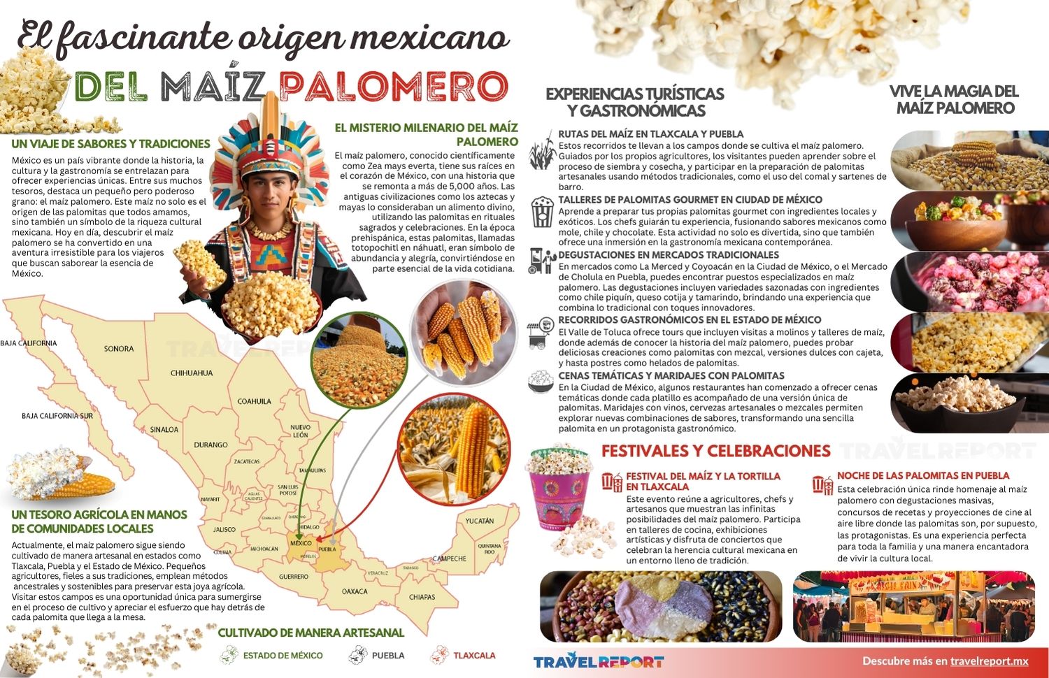 infografía del origen mexicano del maíz palomero