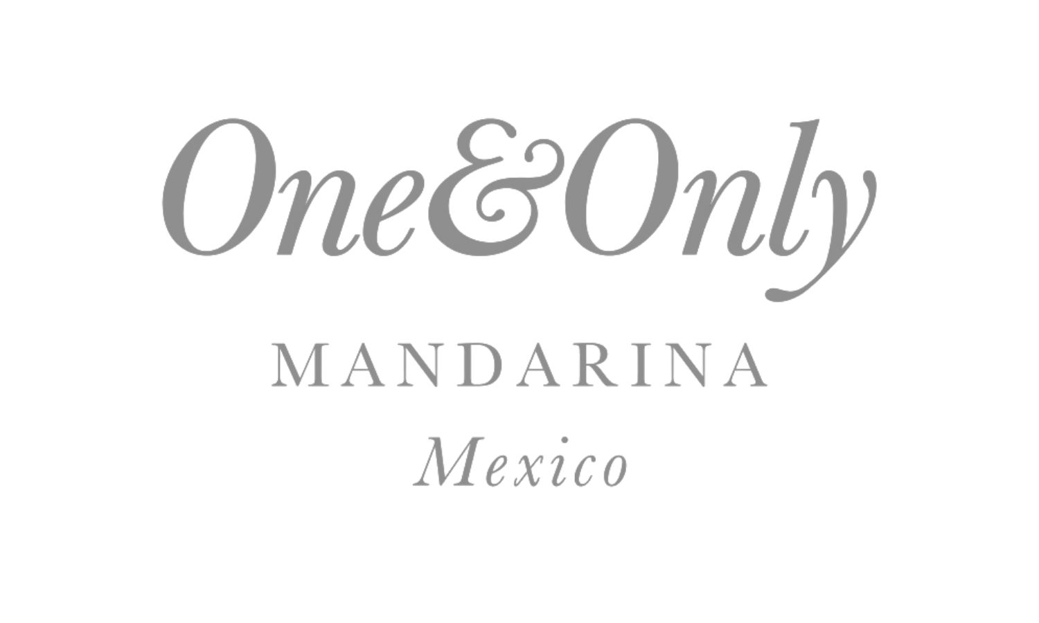 logo de hotel one and one