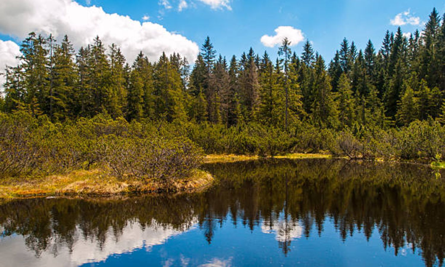 parque nacional sumava