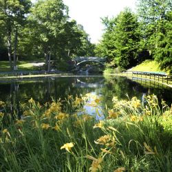 jean drapeau park