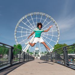 la grande roue de montreal