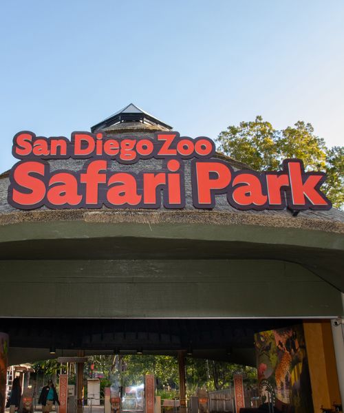 safari park en san diego