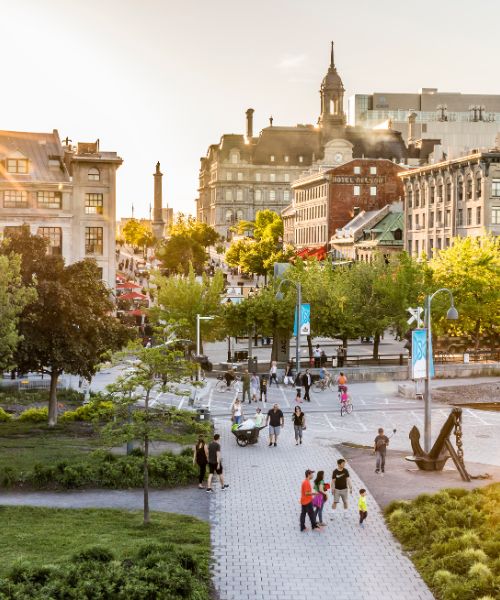 free walking tour de montreal