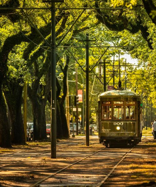 garden district en nueva orleans