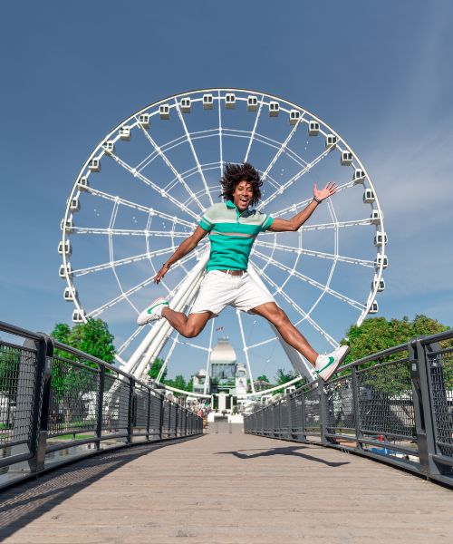 la grande roue de montreal