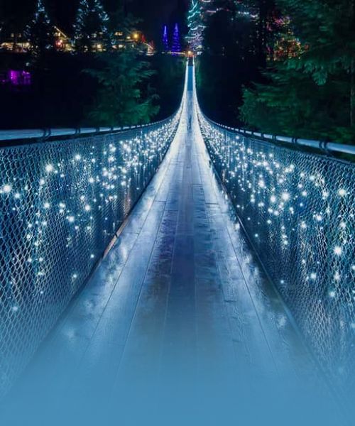 luces encantadas en el parque del puente colgante de capilano