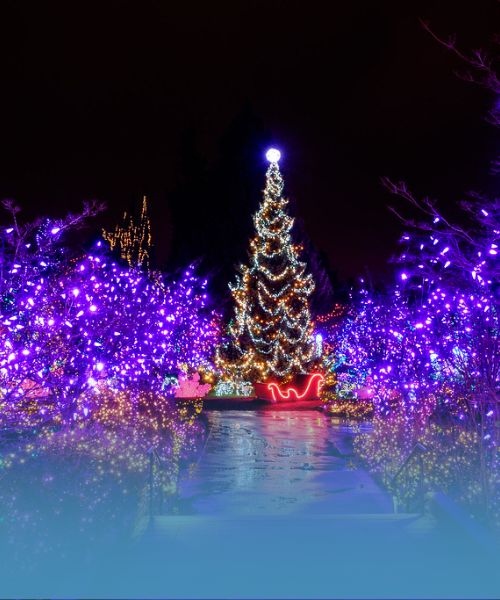 luces festivas en el jardin botanico vandusen