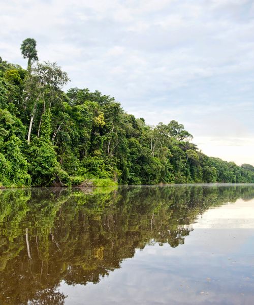 reserva nacional de tambopata