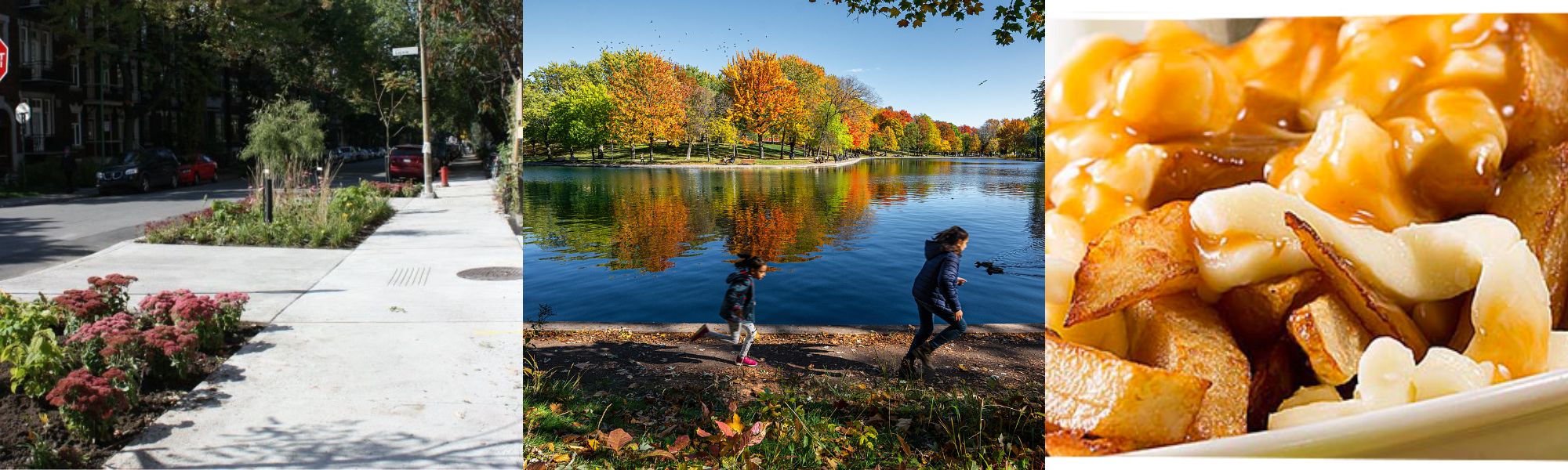 cultura en plateaumont royal y la fontaine park