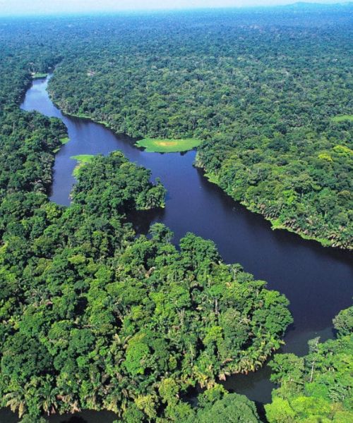 naturaleza en costa rica vista del parque nacional manuel antonio