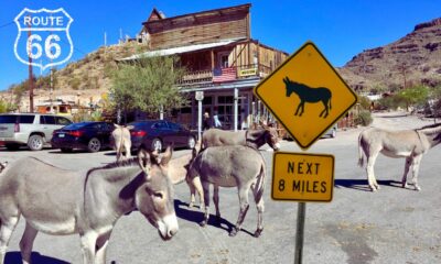 oatman en the mother road