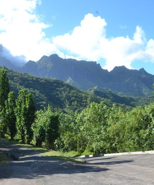 paisaje de montañas