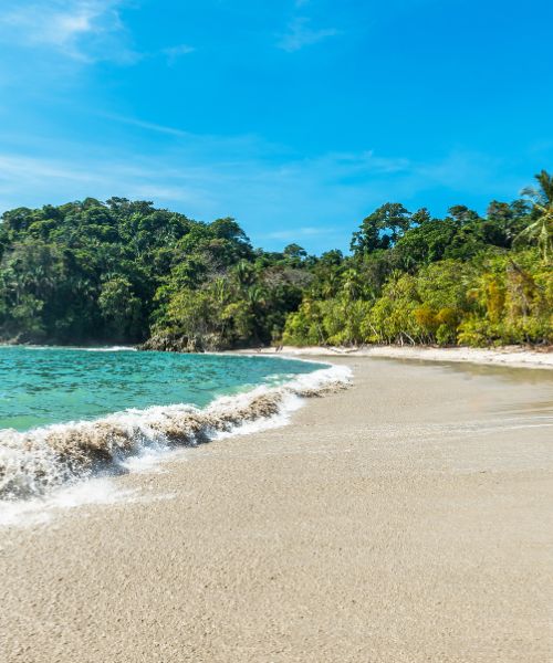 playa paradisica en tamarindo con arena blanca y aguas cristalinas