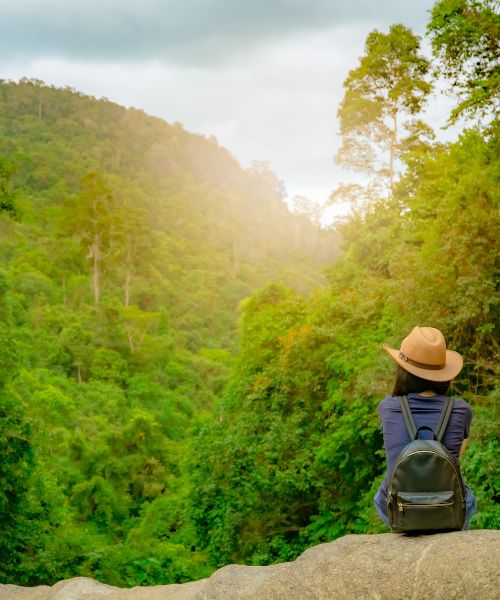 sendero de ecoturismo en el parque nacional tortuguero