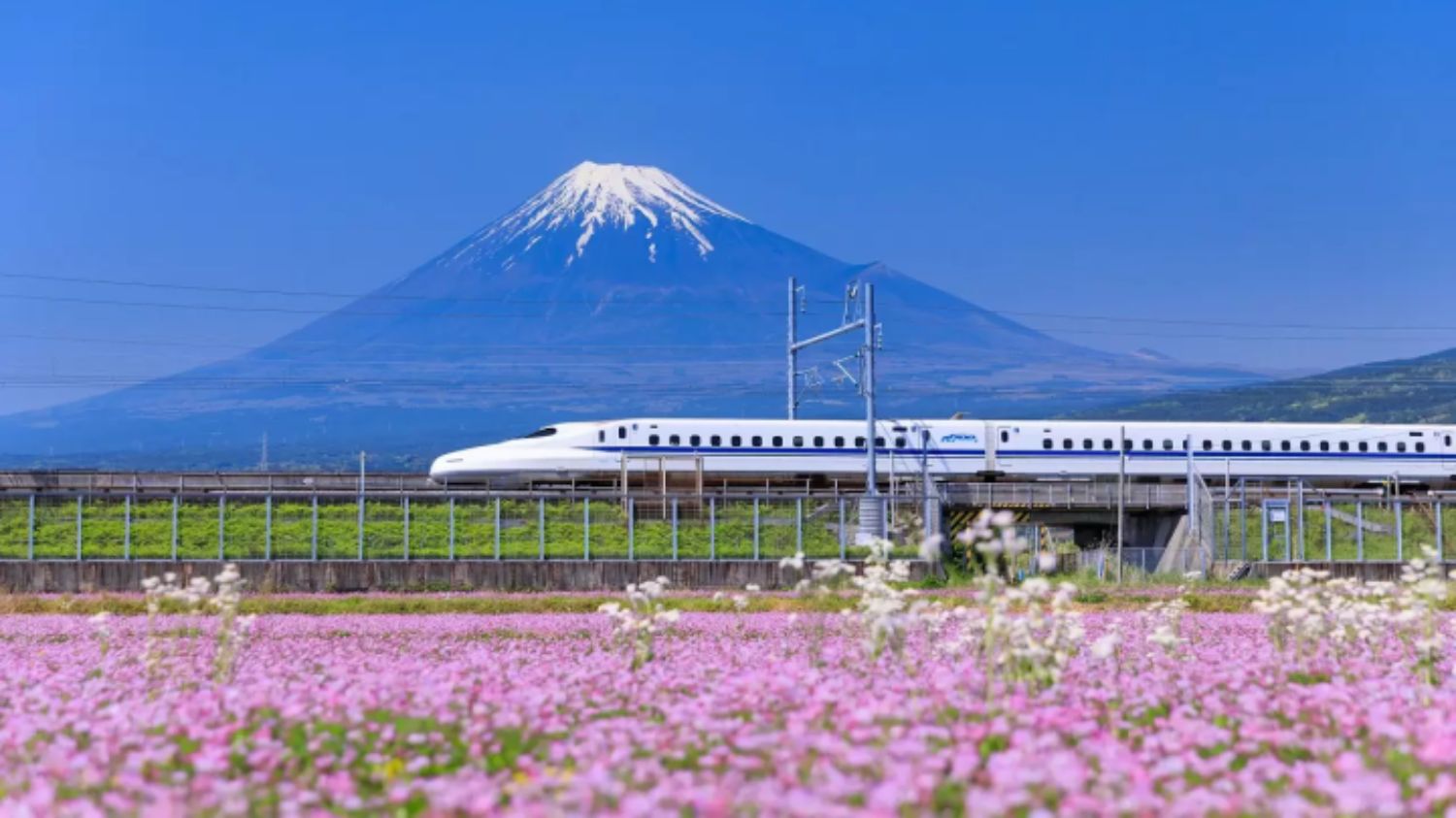 shinkansen tren bala en japón