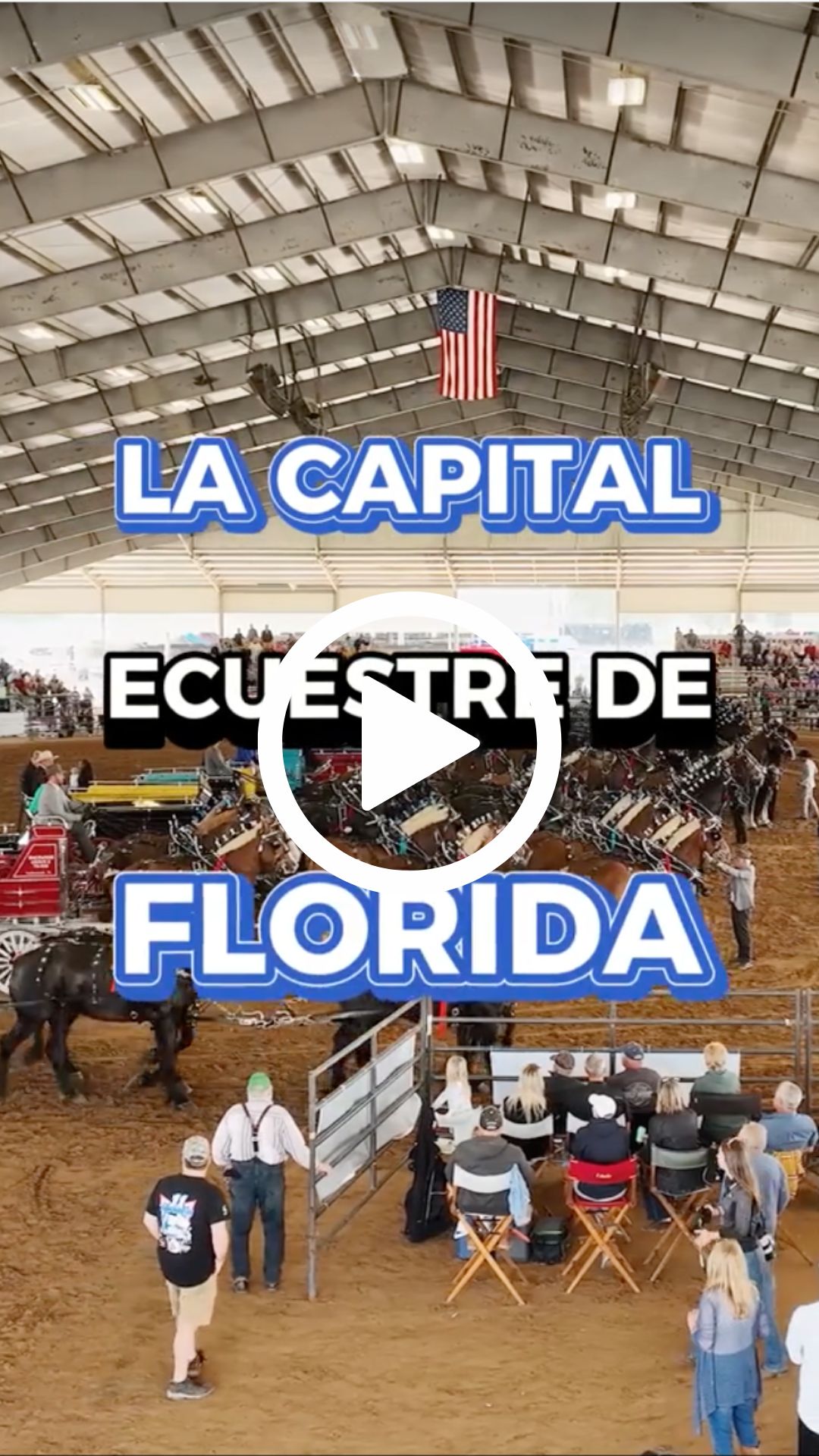 qué hacer en ocala